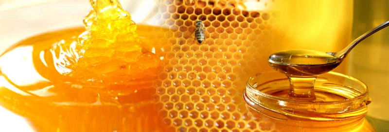vloeibare suikers honing