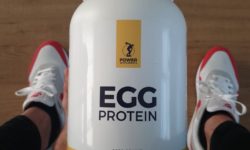 egg protein review