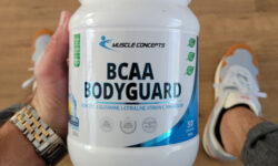 bcaa bodyguard review